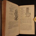 1726 Flowers & Plants of Europe BOTANY Caspar Bauhin Pinax Illustrated 2v SET