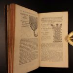 1726 Flowers & Plants of Europe BOTANY Caspar Bauhin Pinax Illustrated 2v SET