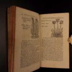 1726 Flowers & Plants of Europe BOTANY Caspar Bauhin Pinax Illustrated 2v SET