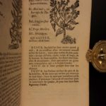 1726 Flowers & Plants of Europe BOTANY Caspar Bauhin Pinax Illustrated 2v SET