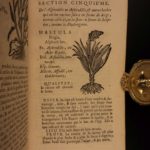 1726 Flowers & Plants of Europe BOTANY Caspar Bauhin Pinax Illustrated 2v SET