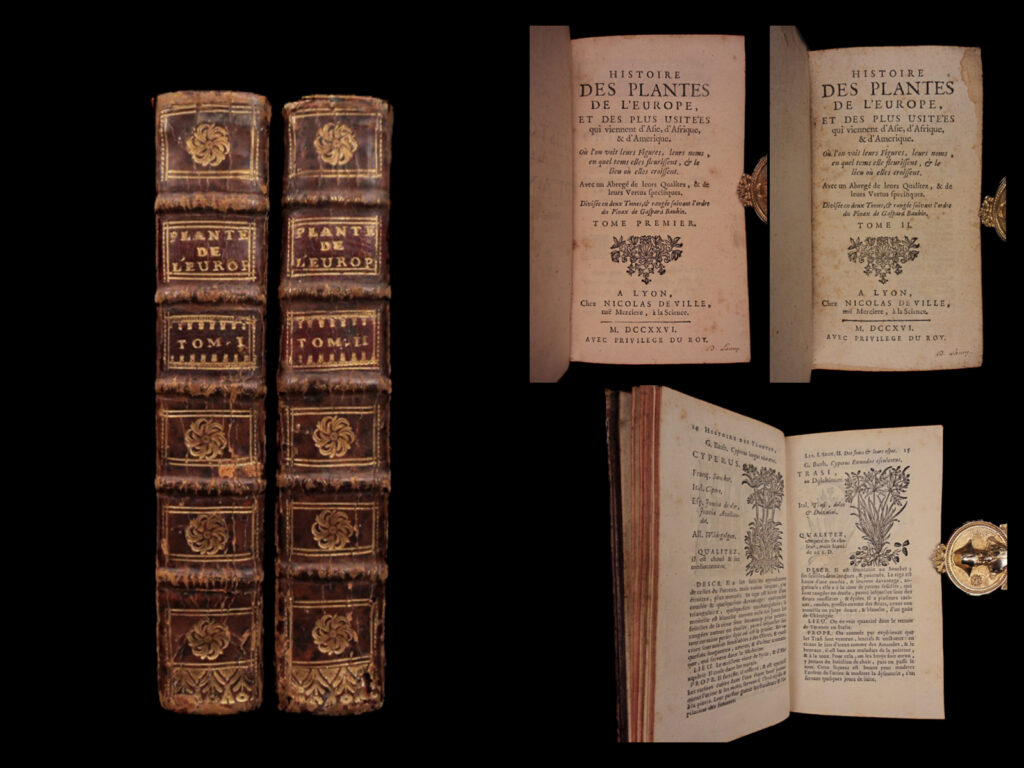 Histoire des plantes de l’europe, et des plus usitées qui viennent d’asie, d’afrique, & d’amérique. Où l’on voit leurs figures, leurs noms, en quel tems elles fleurissent, & le lieu où elles croissent. Avec un abrégé de leurs qualitez & de leurs vertus spécifiques. Divisée en deux tomes & rangée suivant l’ordre du pinax de gaspard bauhin. Caspar bauhin.