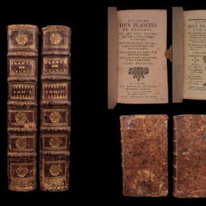 1726 Flowers & Plants of Europe BOTANY Caspar Bauhin Pinax Illustrated 2v SET