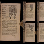 1726 Flowers & Plants of Europe BOTANY Caspar Bauhin Pinax Illustrated 2v SET