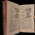 1726 Flowers & Plants of Europe BOTANY Caspar Bauhin Pinax Illustrated 2v SET