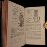 1726 Flowers & Plants of Europe BOTANY Caspar Bauhin Pinax Illustrated 2v SET
