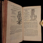 1726 Flowers & Plants of Europe BOTANY Caspar Bauhin Pinax Illustrated 2v SET