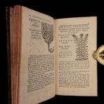 1726 Flowers & Plants of Europe BOTANY Caspar Bauhin Pinax Illustrated 2v SET