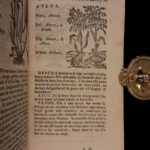 1726 Flowers & Plants of Europe BOTANY Caspar Bauhin Pinax Illustrated 2v SET