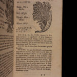 1726 Flowers & Plants of Europe BOTANY Caspar Bauhin Pinax Illustrated 2v SET