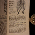 1726 Flowers & Plants of Europe BOTANY Caspar Bauhin Pinax Illustrated 2v SET