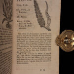 1726 Flowers & Plants of Europe BOTANY Caspar Bauhin Pinax Illustrated 2v SET