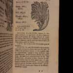 1726 Flowers & Plants of Europe BOTANY Caspar Bauhin Pinax Illustrated 2v SET