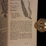 1726 Flowers & Plants of Europe BOTANY Caspar Bauhin Pinax Illustrated 2v SET