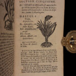 1726 Flowers & Plants of Europe BOTANY Caspar Bauhin Pinax Illustrated 2v SET