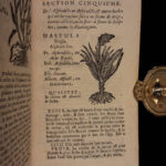 1726 Flowers & Plants of Europe BOTANY Caspar Bauhin Pinax Illustrated 2v SET