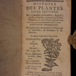 1726 Flowers & Plants of Europe BOTANY Caspar Bauhin Pinax Illustrated 2v SET