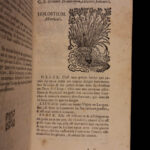 1726 Flowers & Plants of Europe BOTANY Caspar Bauhin Pinax Illustrated 2v SET