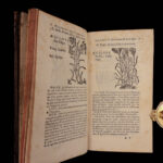 1726 Flowers & Plants of Europe BOTANY Caspar Bauhin Pinax Illustrated 2v SET