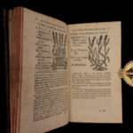 1726 Flowers & Plants of Europe BOTANY Caspar Bauhin Pinax Illustrated 2v SET