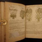 1597 1st John Gerarde Herball Plants English Herbal Illustrated Stirpium Botany