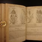 1597 1st John Gerarde Herball Plants English Herbal Illustrated Stirpium Botany