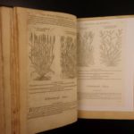 1597 1st John Gerarde Herball Plants English Herbal Illustrated Stirpium Botany