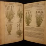 1597 1st John Gerarde Herball Plants English Herbal Illustrated Stirpium Botany