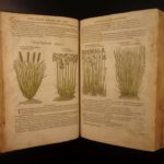 1597 1st John Gerarde Herball Plants English Herbal Illustrated Stirpium Botany