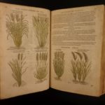 1597 1st John Gerarde Herball Plants English Herbal Illustrated Stirpium Botany