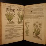 1597 1st John Gerarde Herball Plants English Herbal Illustrated Stirpium Botany