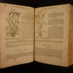 1597 1st John Gerarde Herball Plants English Herbal Illustrated Stirpium Botany