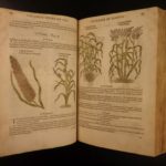 1597 1st John Gerarde Herball Plants English Herbal Illustrated Stirpium Botany