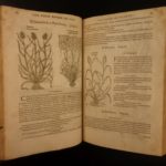 1597 1st John Gerarde Herball Plants English Herbal Illustrated Stirpium Botany