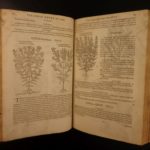 1597 1st John Gerarde Herball Plants English Herbal Illustrated Stirpium Botany