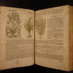 1597 1st John Gerarde Herball Plants English Herbal Illustrated Stirpium Botany