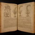 1597 1st John Gerarde Herball Plants English Herbal Illustrated Stirpium Botany