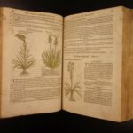 1597 1st John Gerarde Herball Plants English Herbal Illustrated Stirpium Botany