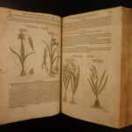 1597 1st John Gerarde Herball Plants English Herbal Illustrated Stirpium Botany