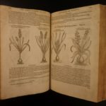 1597 1st John Gerarde Herball Plants English Herbal Illustrated Stirpium Botany