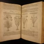 1597 1st John Gerarde Herball Plants English Herbal Illustrated Stirpium Botany