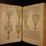 1597 1st John Gerarde Herball Plants English Herbal Illustrated Stirpium Botany