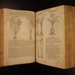 1597 1st John Gerarde Herball Plants English Herbal Illustrated Stirpium Botany