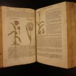 1597 1st John Gerarde Herball Plants English Herbal Illustrated Stirpium Botany