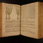 1597 1st John Gerarde Herball Plants English Herbal Illustrated Stirpium Botany