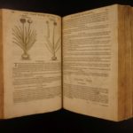 1597 1st John Gerarde Herball Plants English Herbal Illustrated Stirpium Botany
