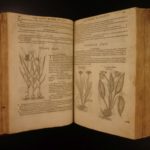 1597 1st John Gerarde Herball Plants English Herbal Illustrated Stirpium Botany