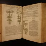 1597 1st John Gerarde Herball Plants English Herbal Illustrated Stirpium Botany