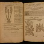 1597 1st John Gerarde Herball Plants English Herbal Illustrated Stirpium Botany