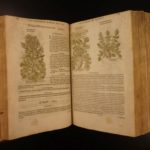 1597 1st John Gerarde Herball Plants English Herbal Illustrated Stirpium Botany